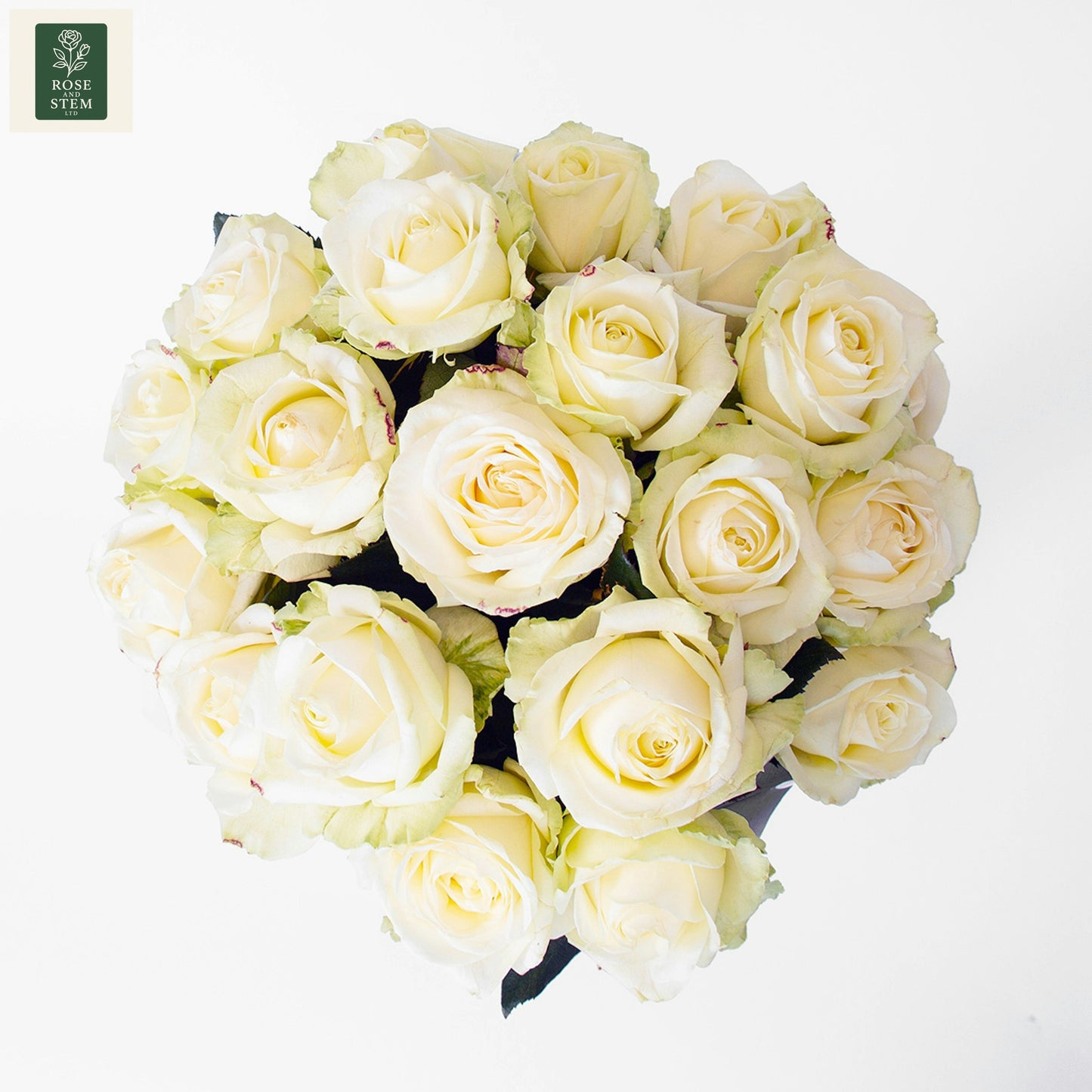 White Roses (20)
