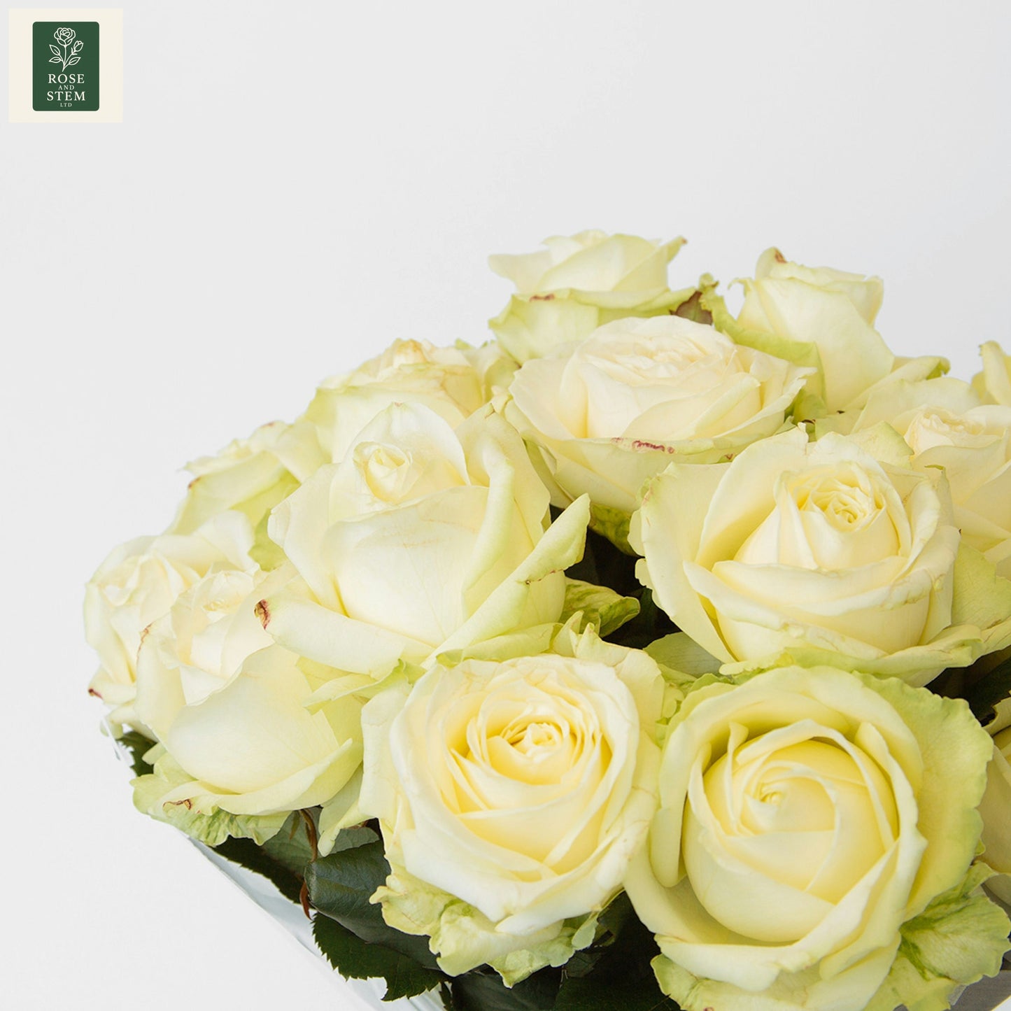 White Roses (20)