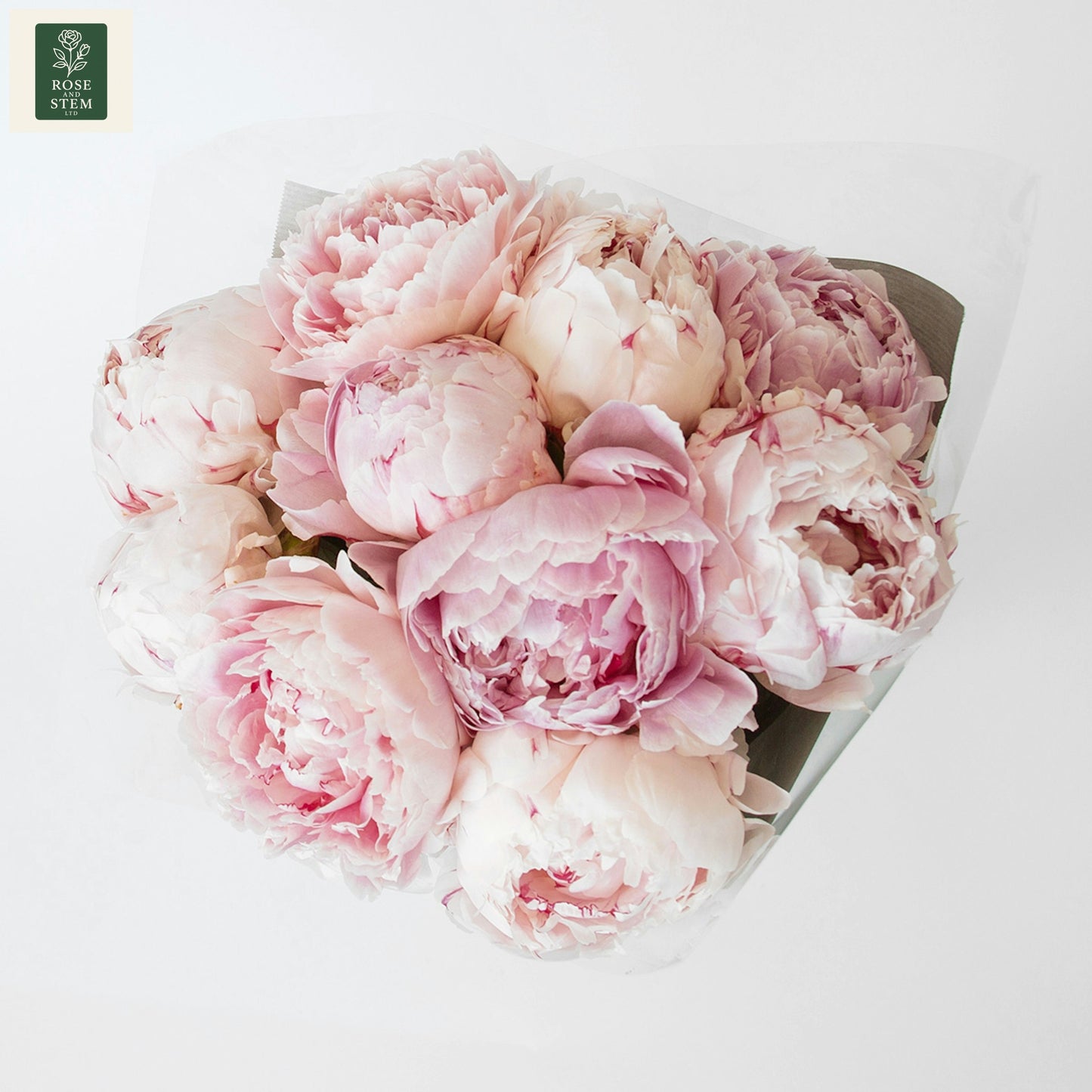 Blush Peonies