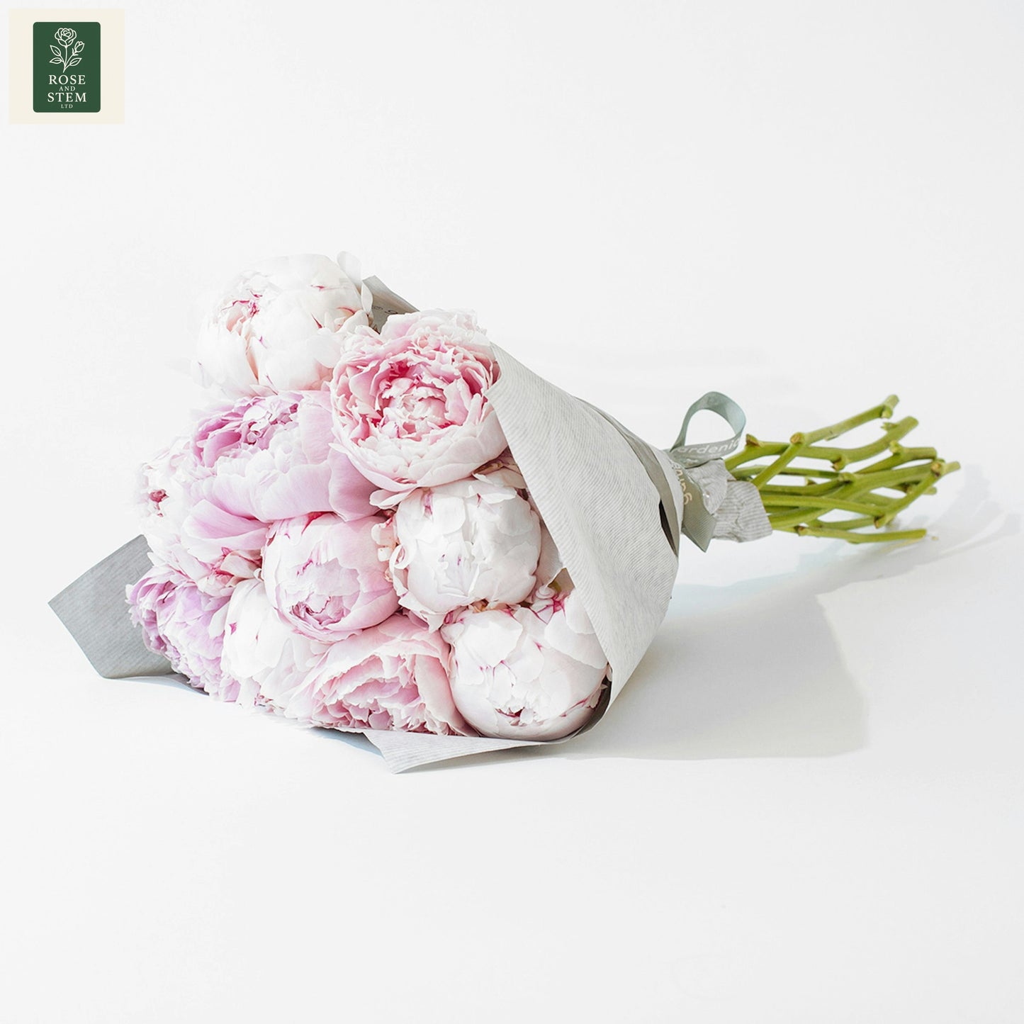 Blush Peonies