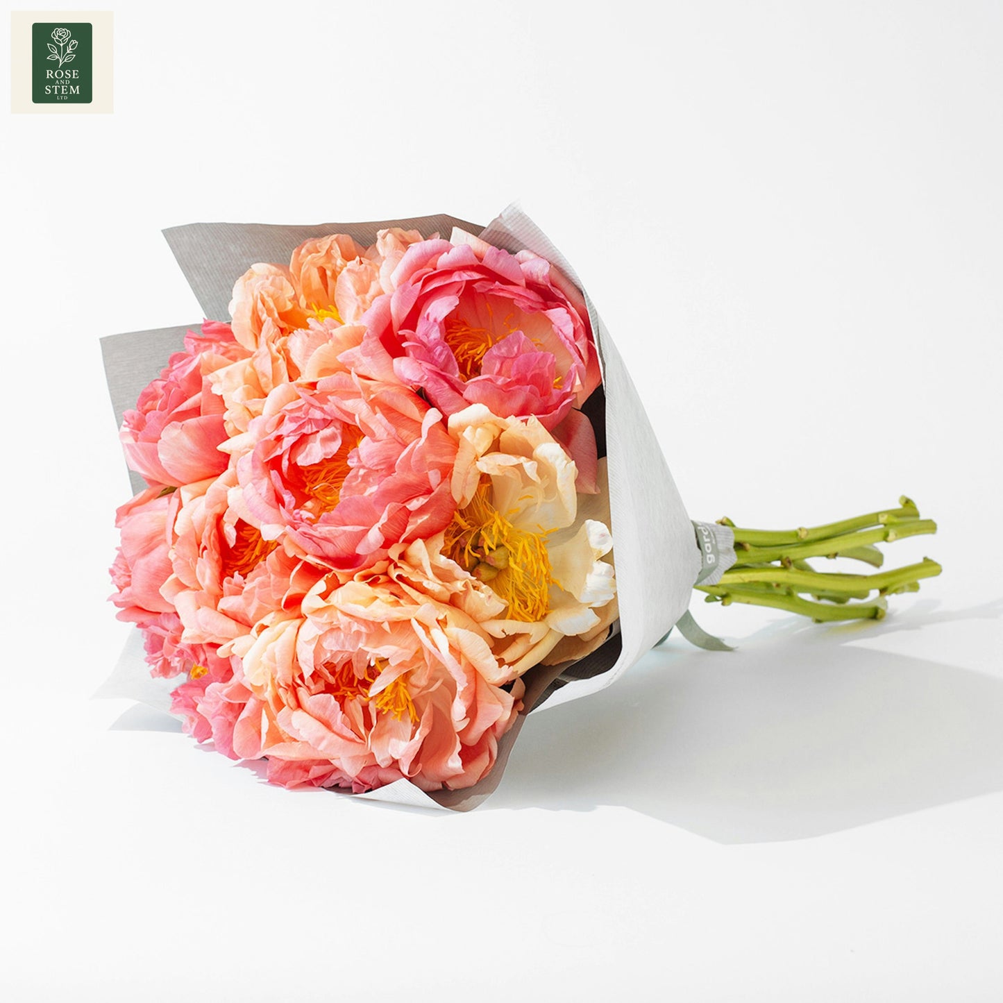Coral Peonies