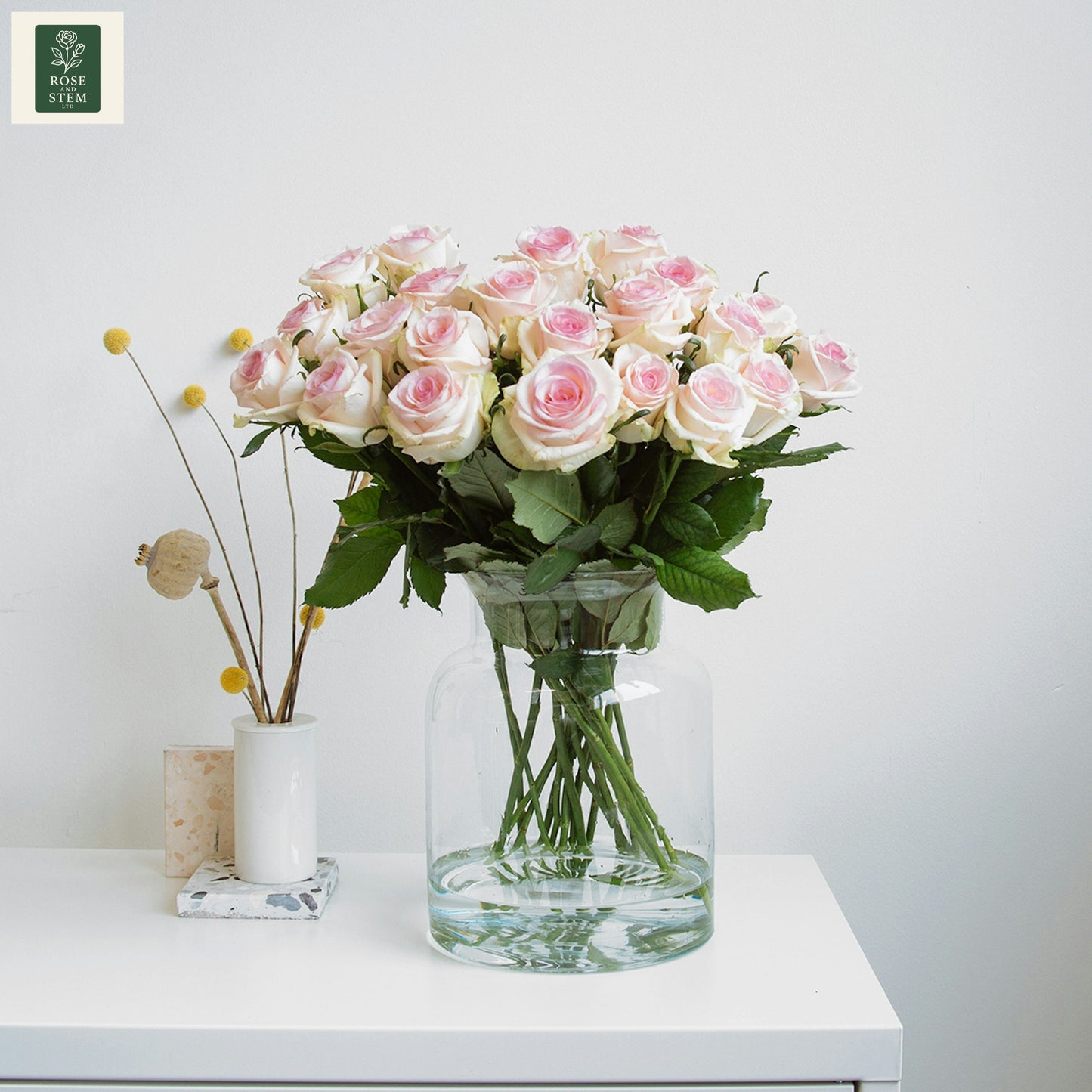 20 Light Pink Rose