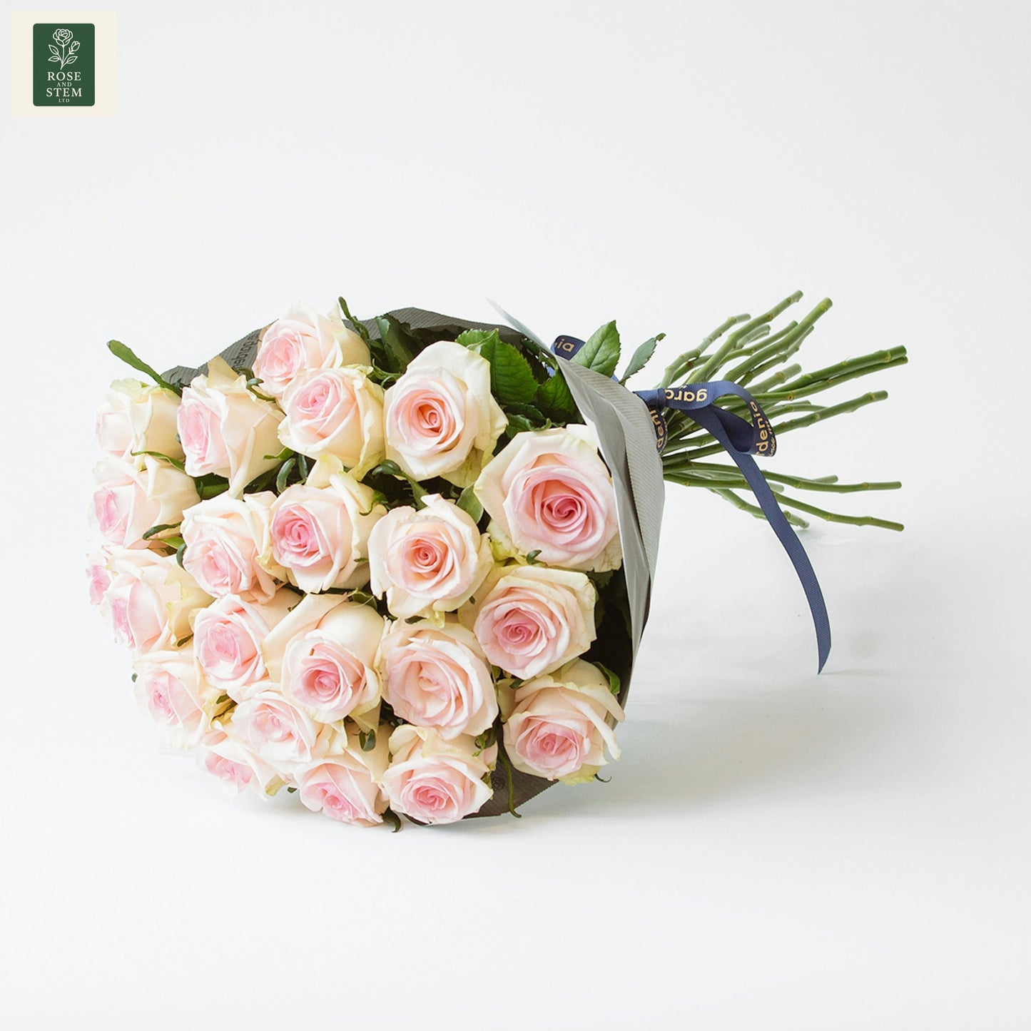 20 Light Pink Rose