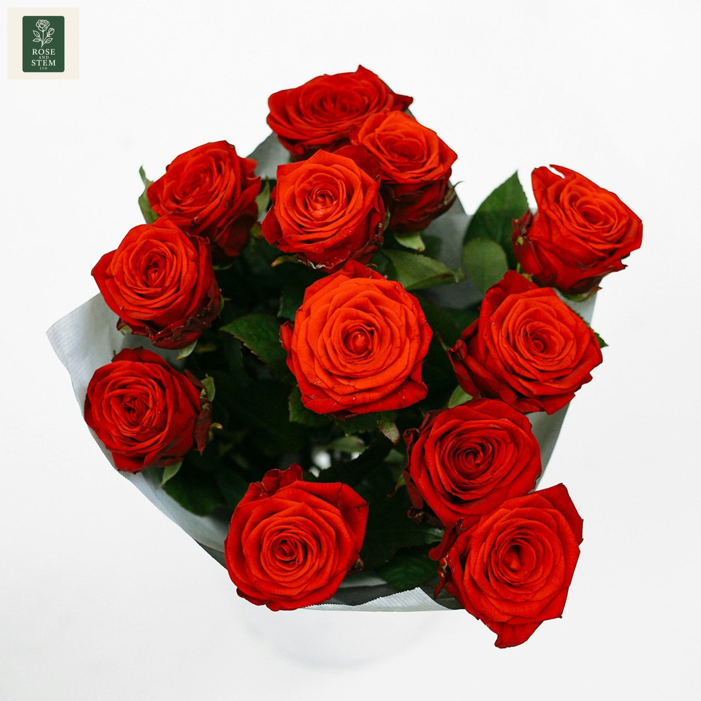 Red Rose - One Dozen