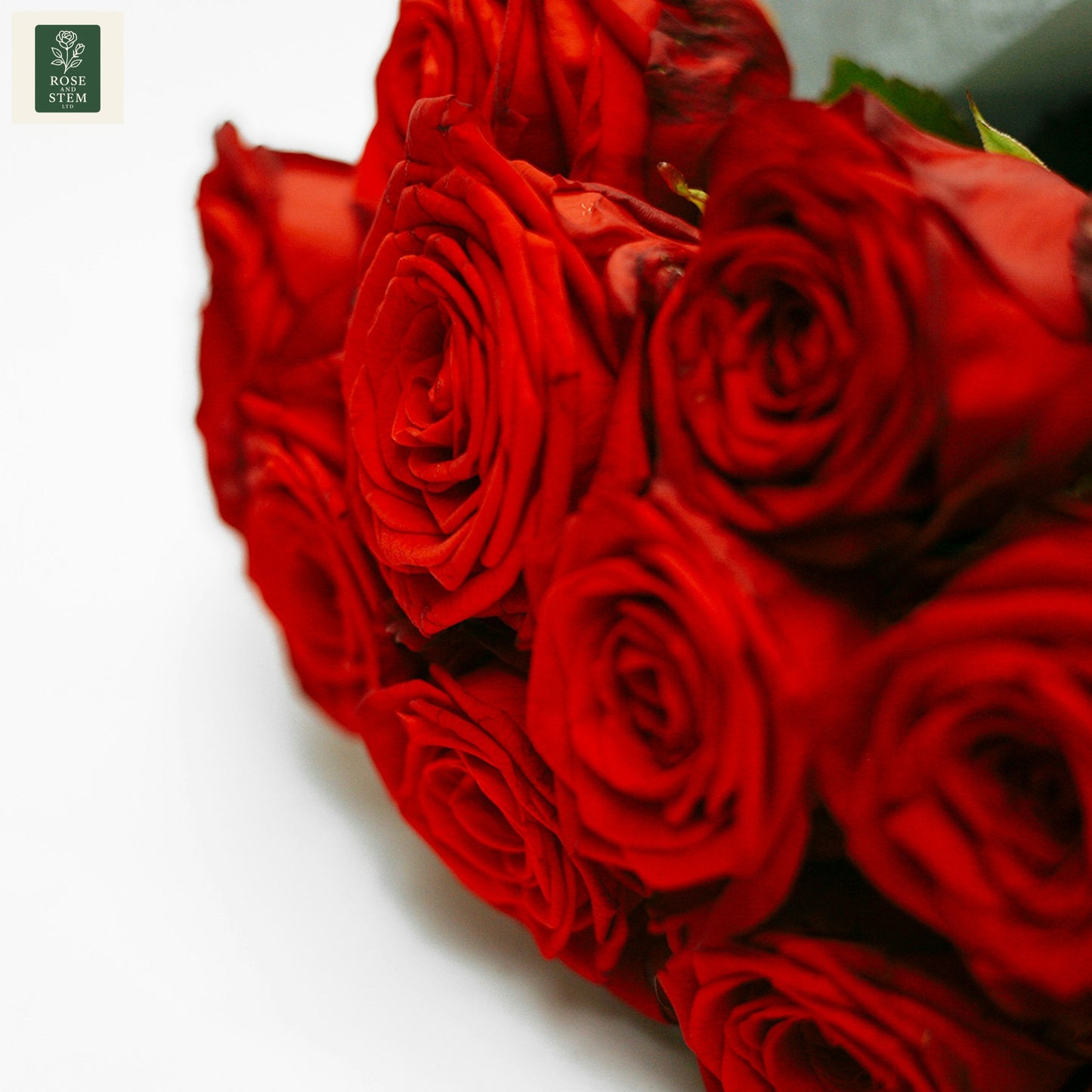 Red Rose - One Dozen