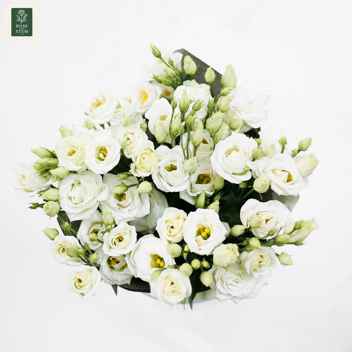 White Lisianthus