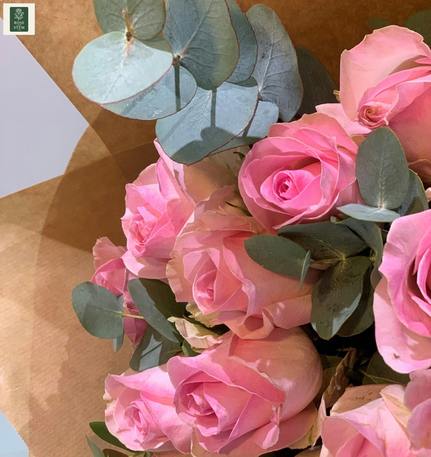 12 Pretty Pink Roses