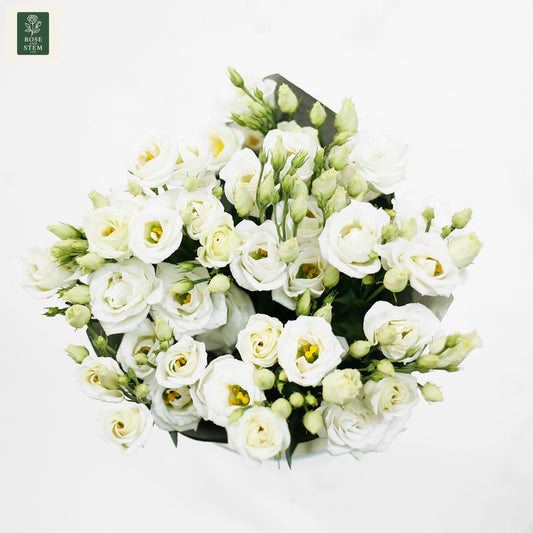 White Lisianthus