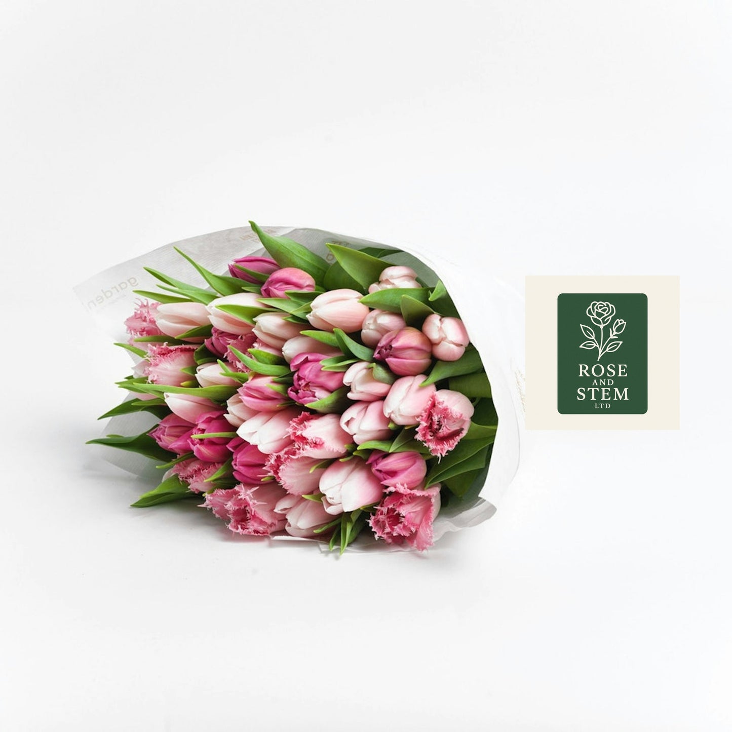 Pretty Pink Tulip Mix