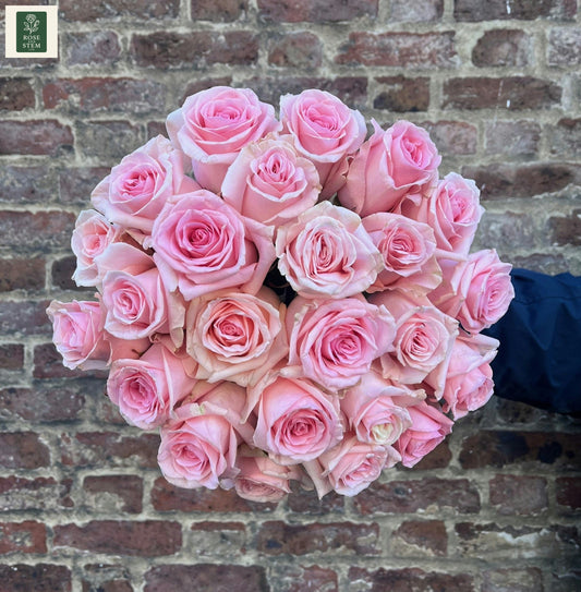 Pink Rose - Two Dozen