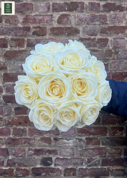 White Rose - A Dozen
