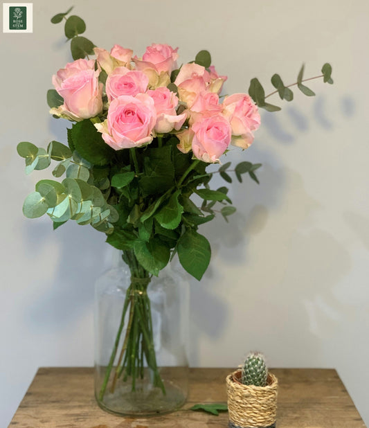 12 Pretty Pink Roses